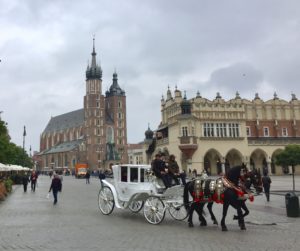 a horse carriage in a city