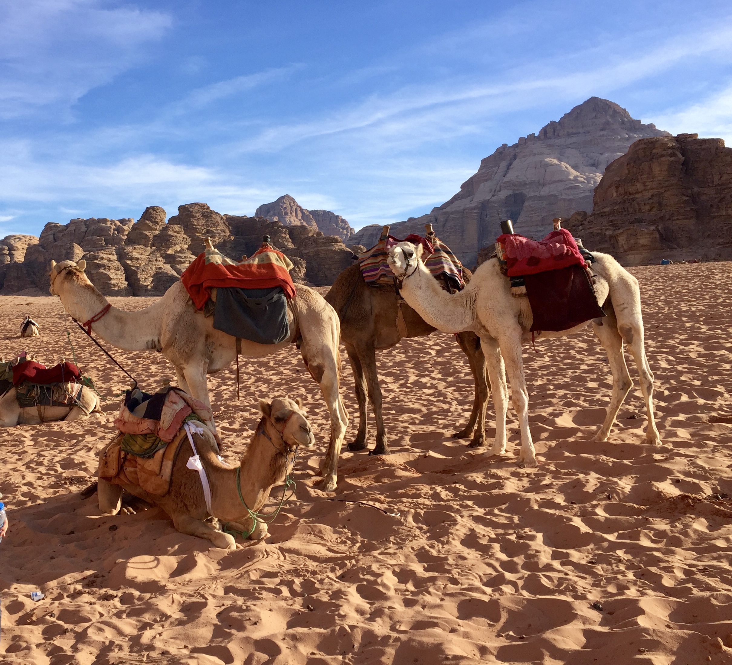 Wadi Rum Jordan