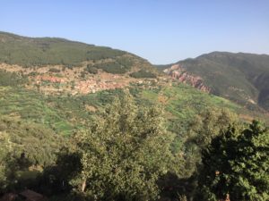 a landscape of a valley with trees and mountains