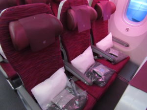 Economy Class Seat