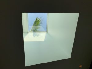 a window with a palm tree in the background