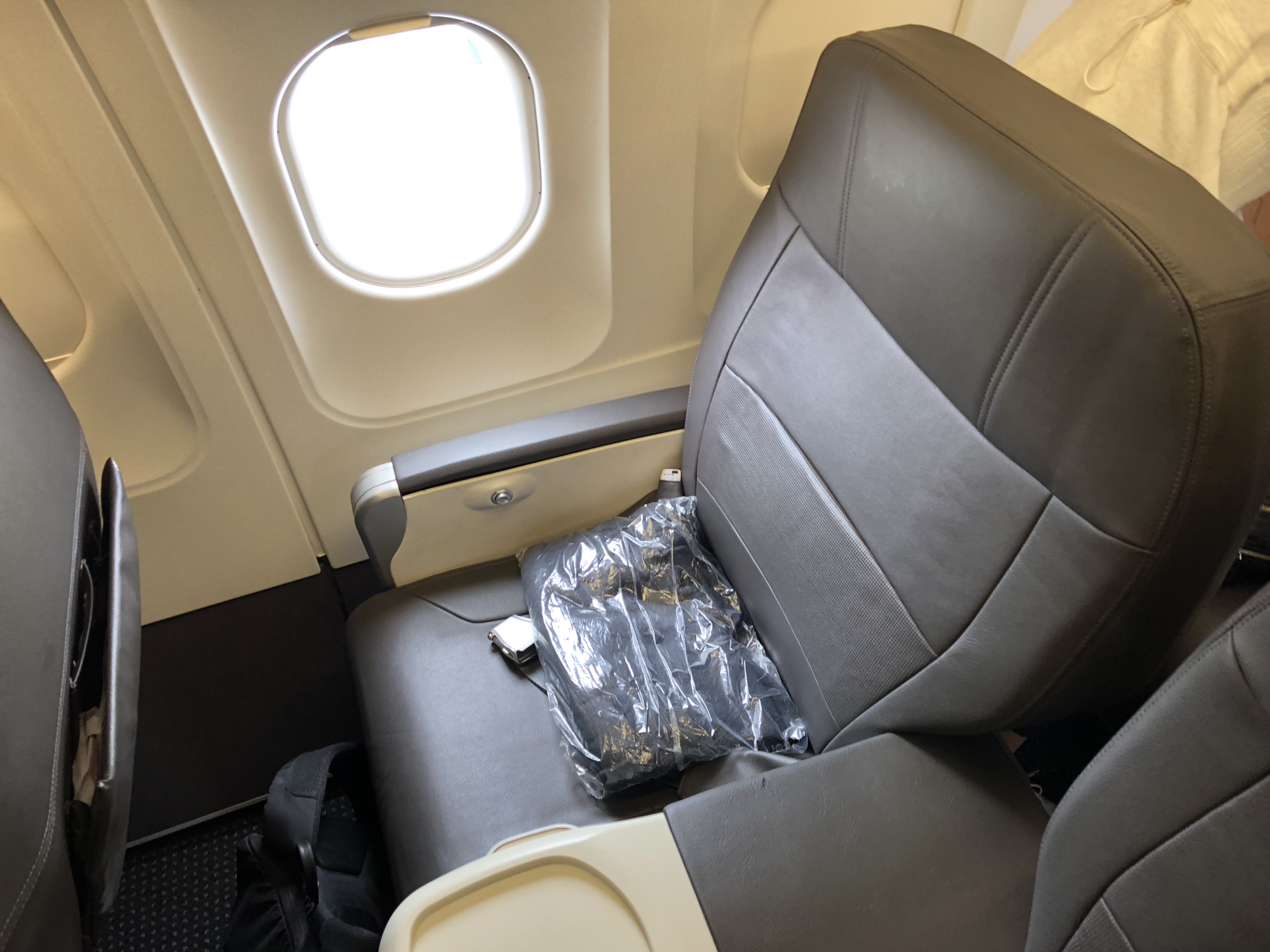 American Airlines First Class on the Airbus a320