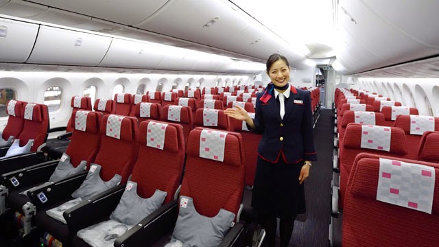 Which airline has the best economy seats on a 787 Dreamliner?