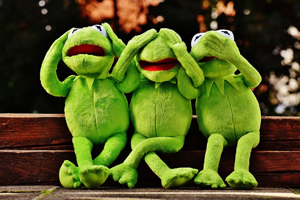 a group of green frogs sitting on a wood surface