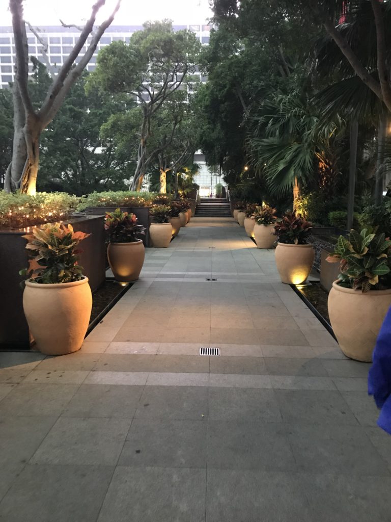 a walkway with potted plants and trees