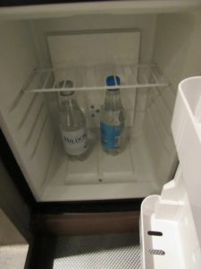 Day Room Fridge