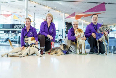 Montreal airport adopts furry solution to calm nervous flyers – YUL Pet Squad
