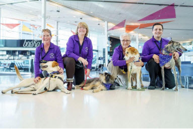 a group of people sitting with dogs