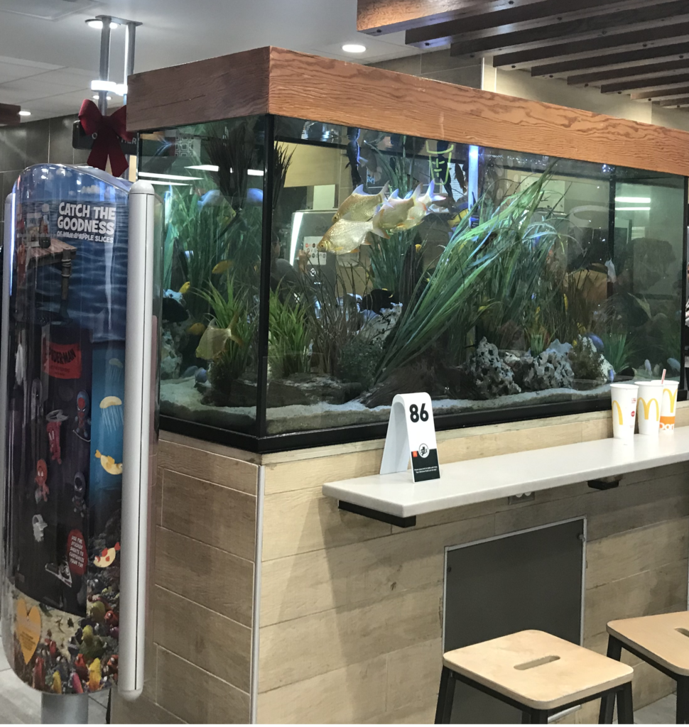 a fish tank in a restaurant