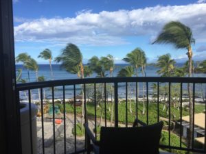 a balcony with palm trees and a body of water