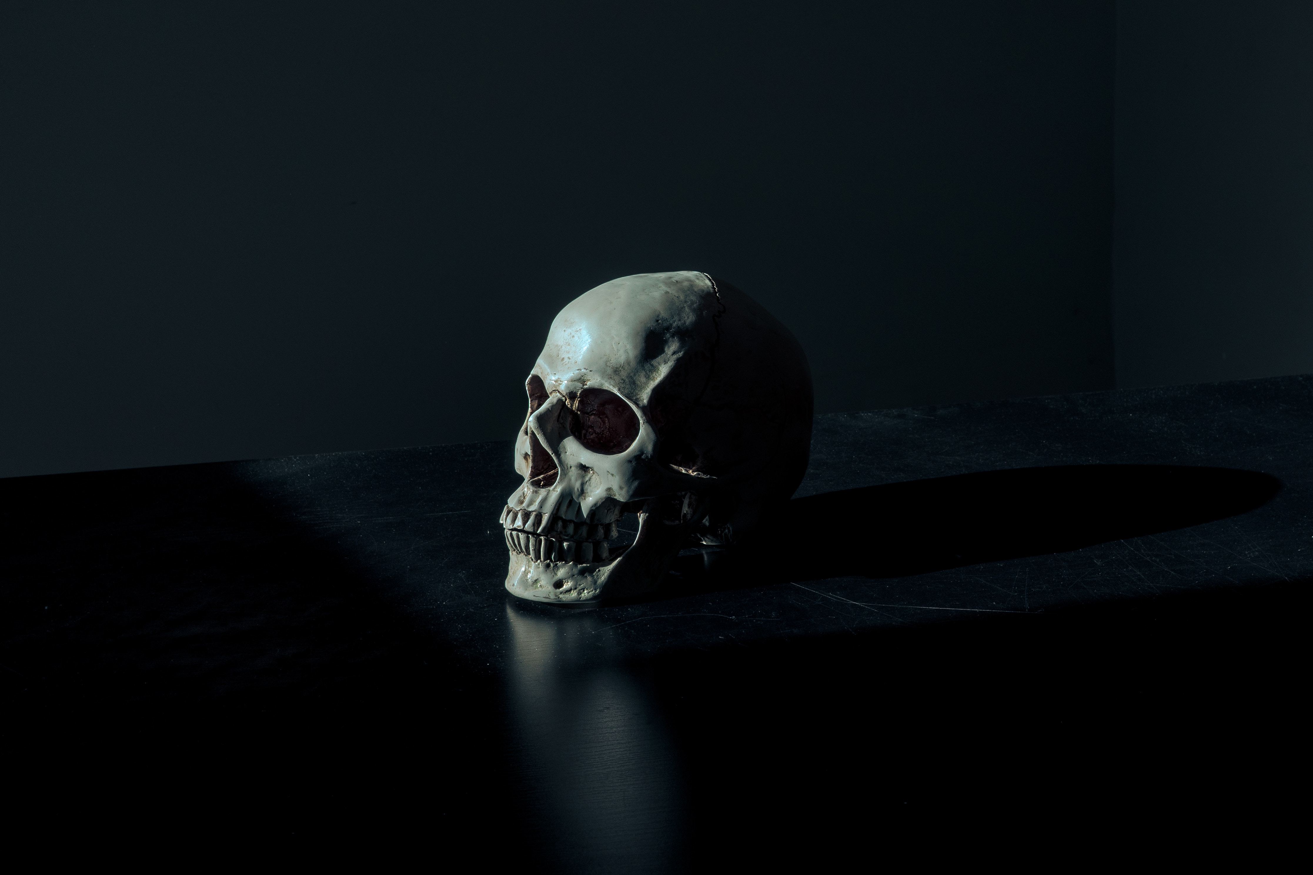 a skull on a table