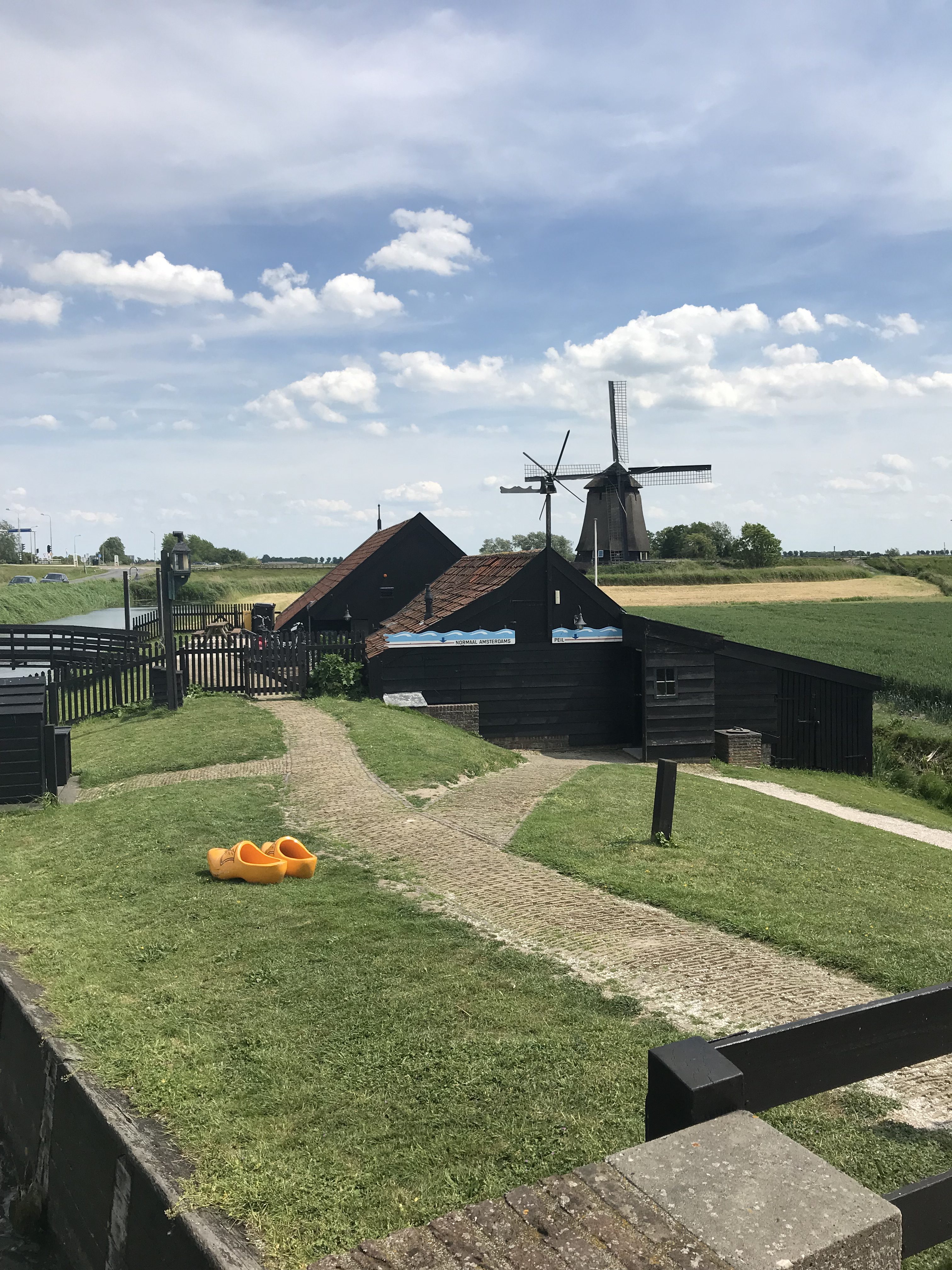 a windmill in the distance