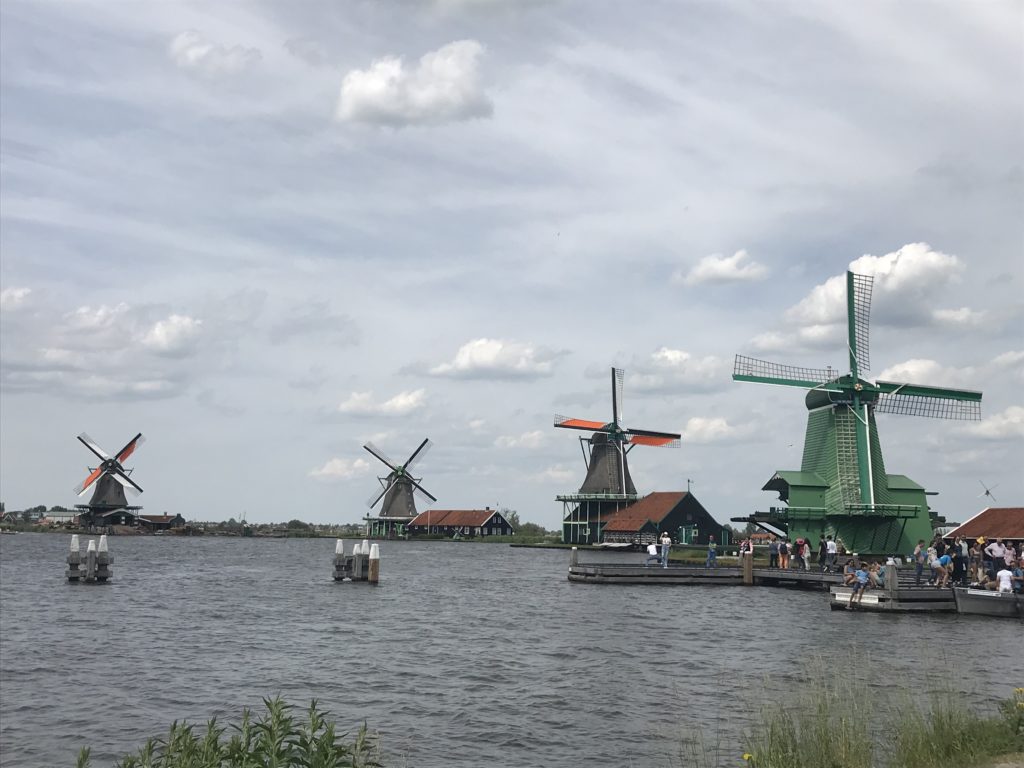 a group of windmills on a lake