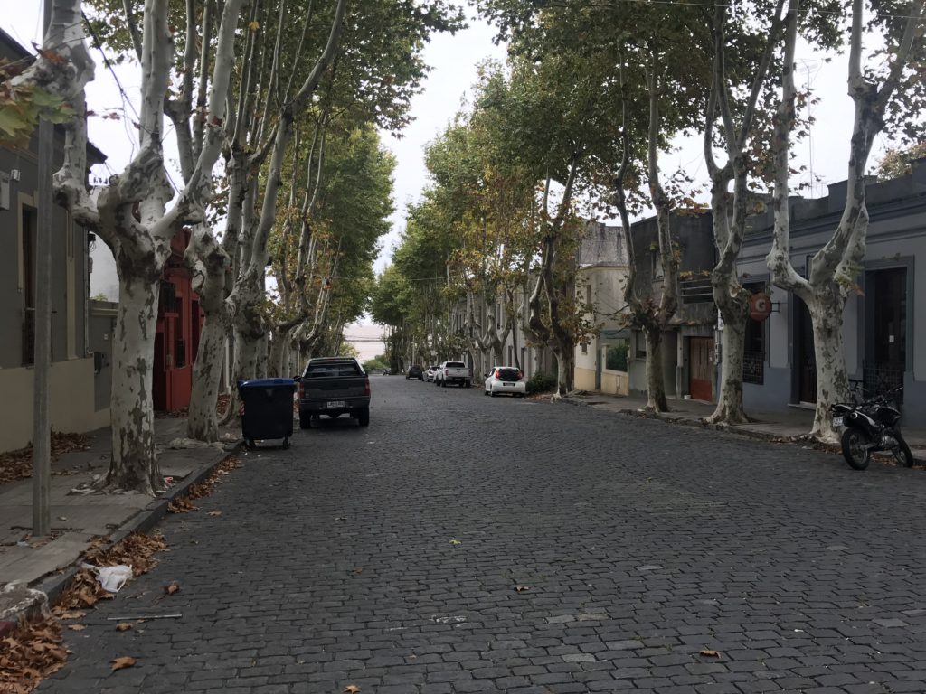 a street with trees and cars on it