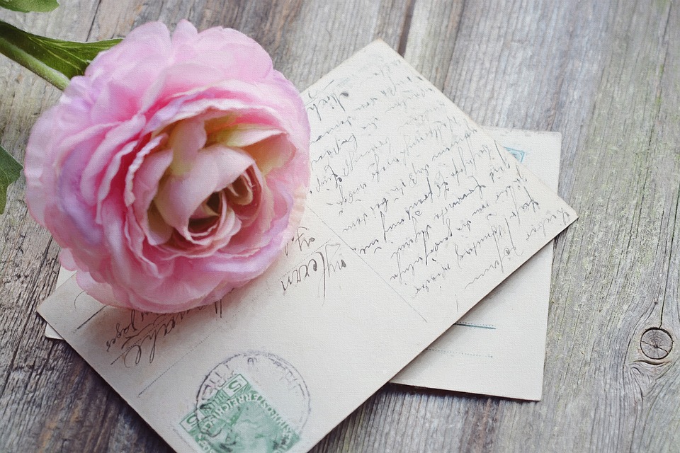 a pink flower on top of a postcard