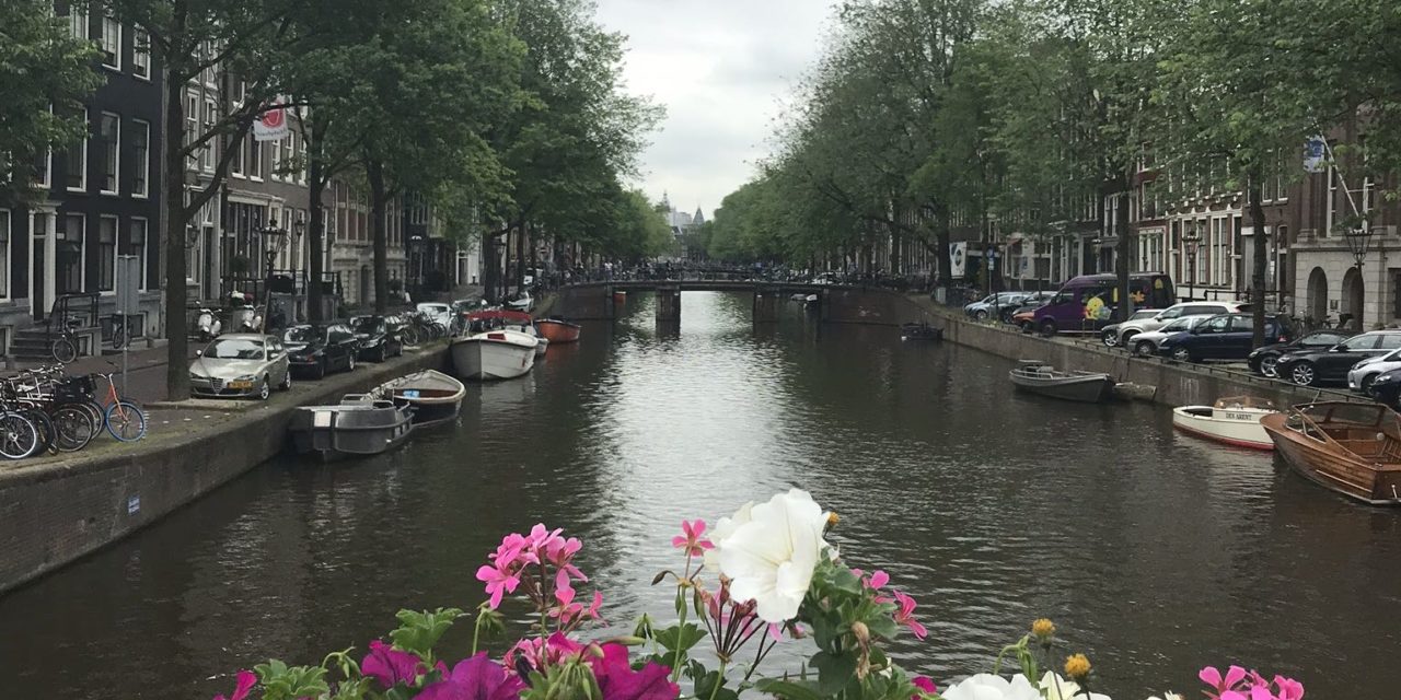 Highlights of Amsterdam: Countryside and the Museum District