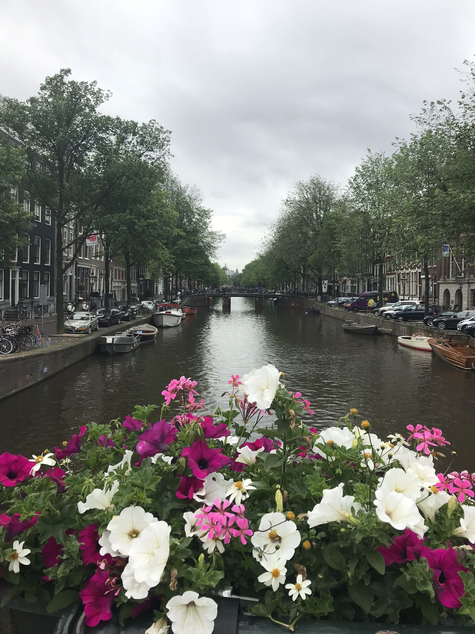 a canal with boats and flowers