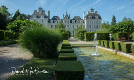 Five Cool Castles in France