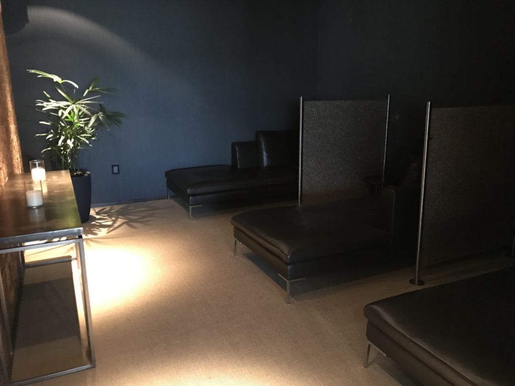 a room with couches and a plant