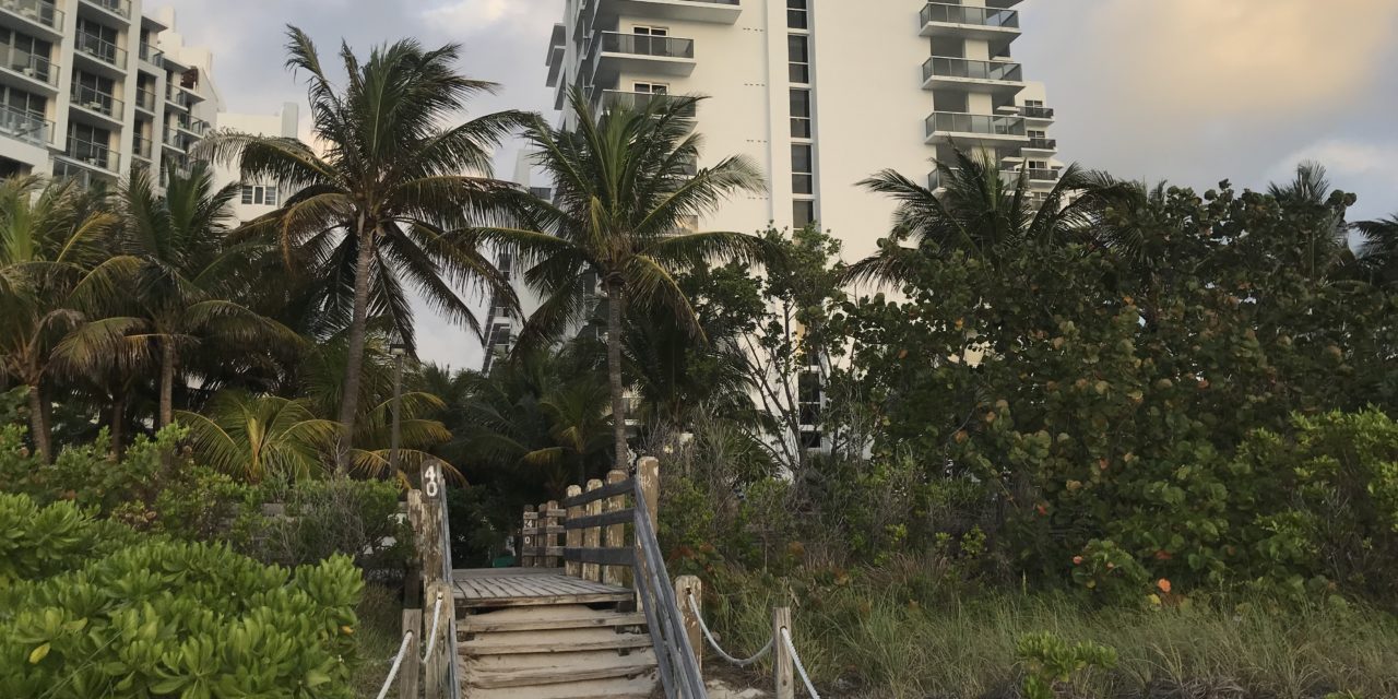 Review: The Confidante Miami Beach, Hyatt Unbound Collection