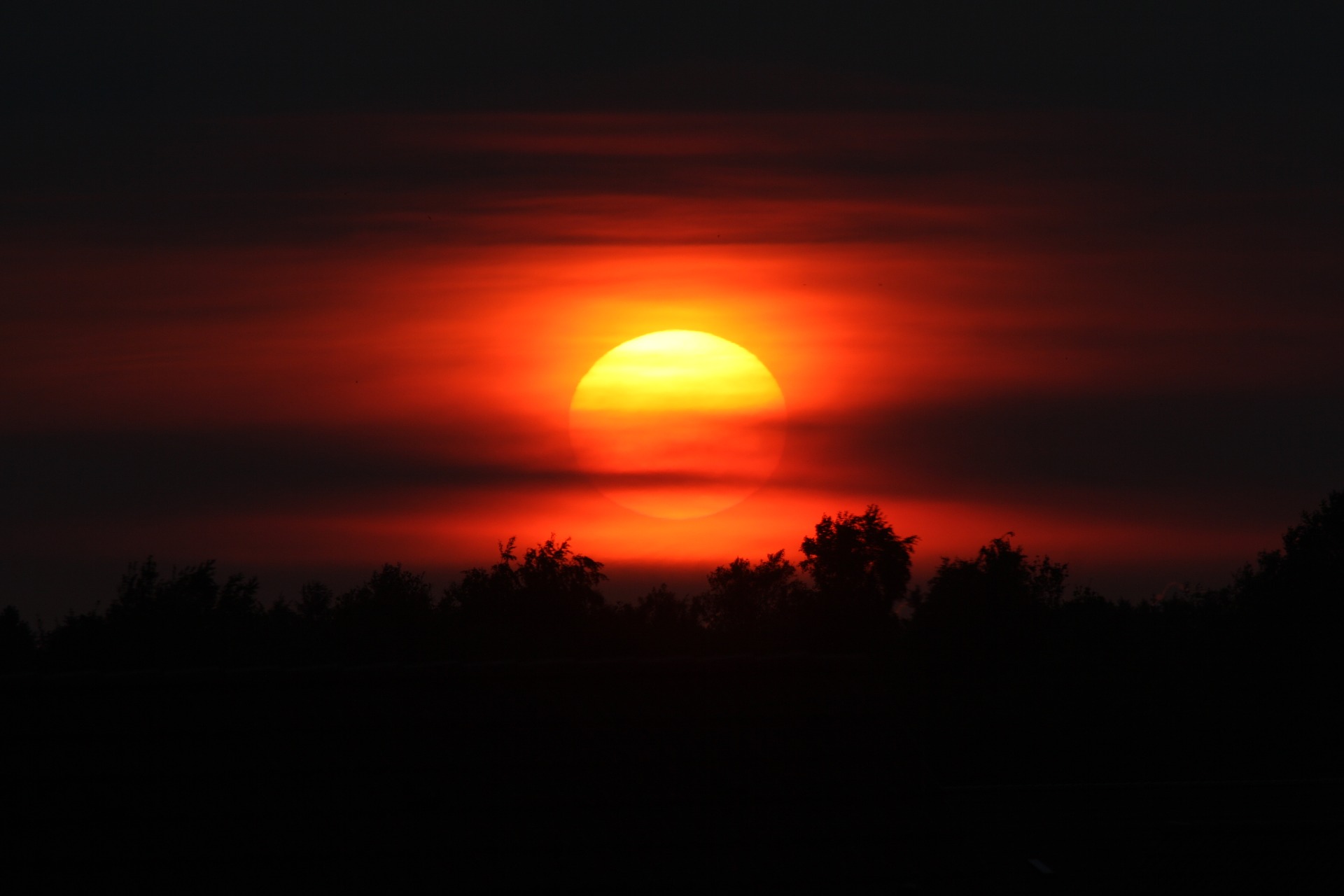 a sunset over trees