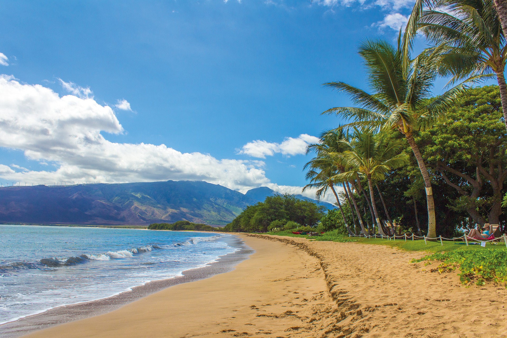 a beach with palm trees and waves