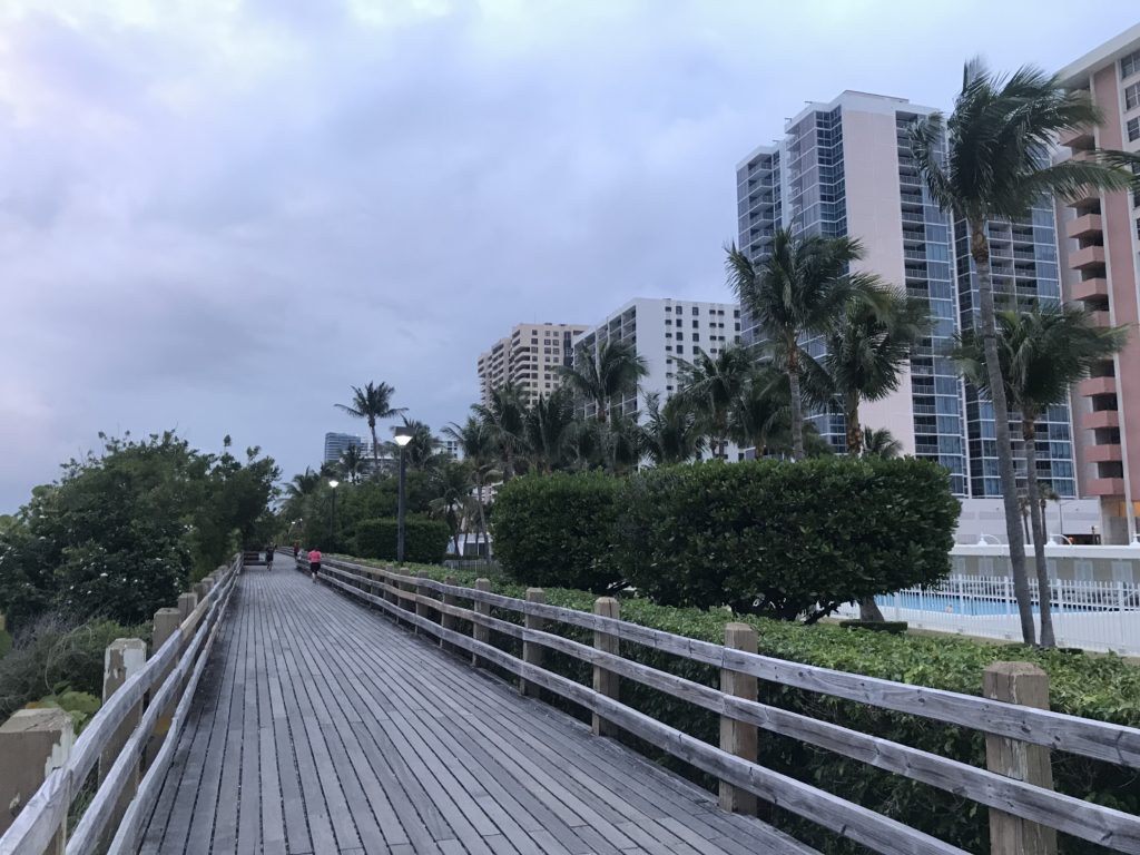 a wooden walkway with palm trees and buildings in the background