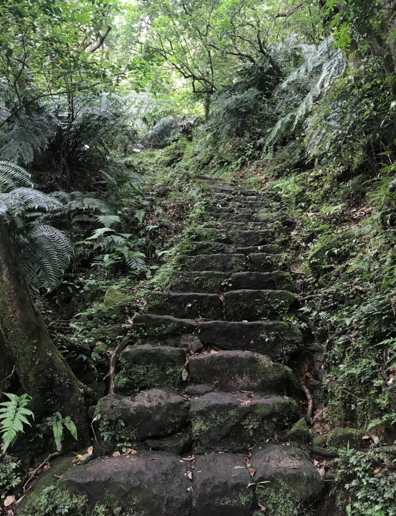 a stone stairs in a forest