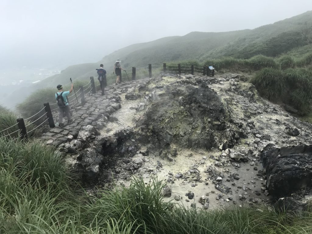 a group of people walking on a path