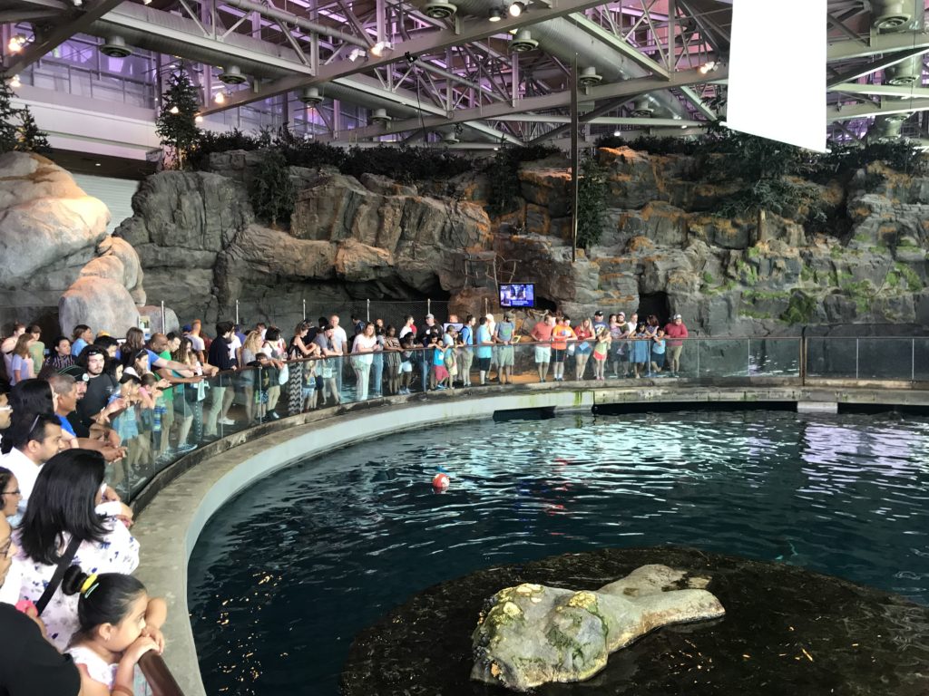 a group of people standing in a line at a zoo