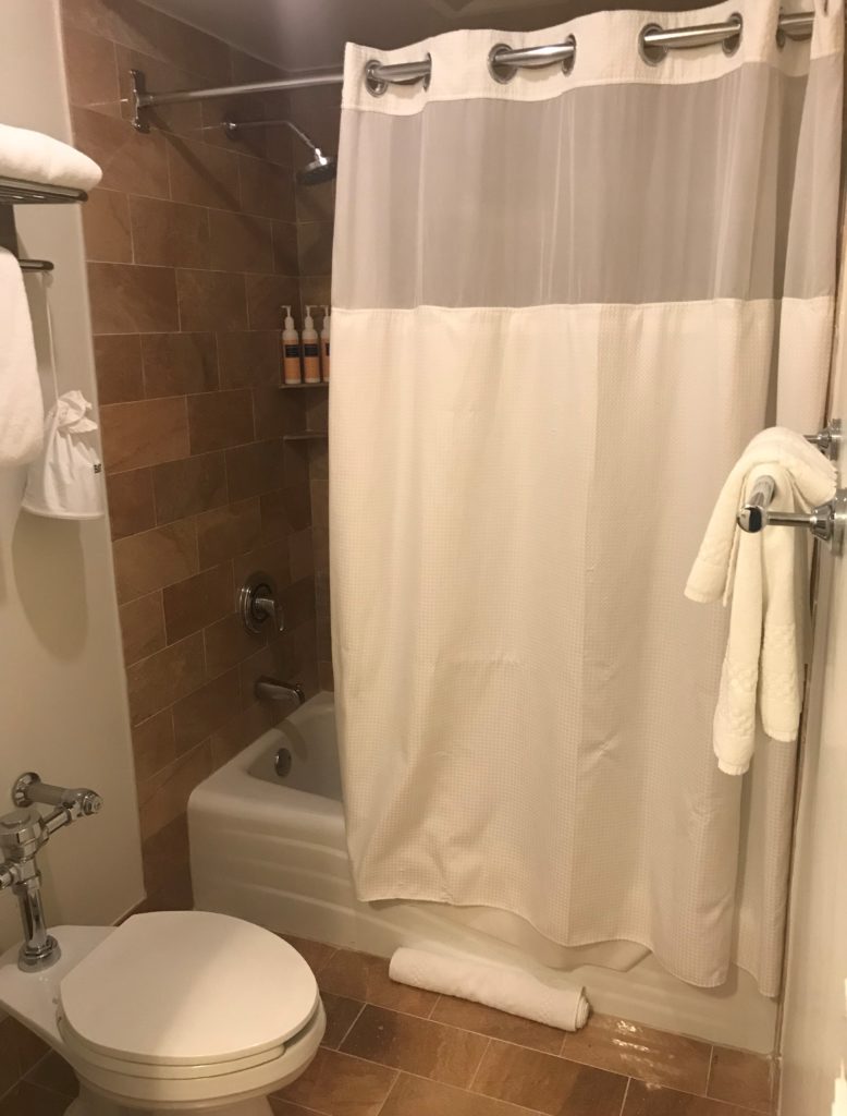 a bathroom with a shower curtain and toilet