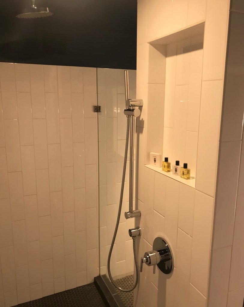Thompson Hotel Chicago Shower