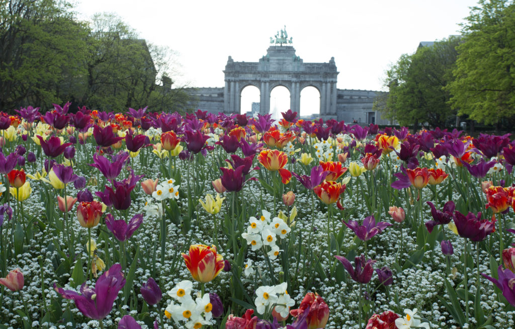 a field of flowers with a stone structure in the background
