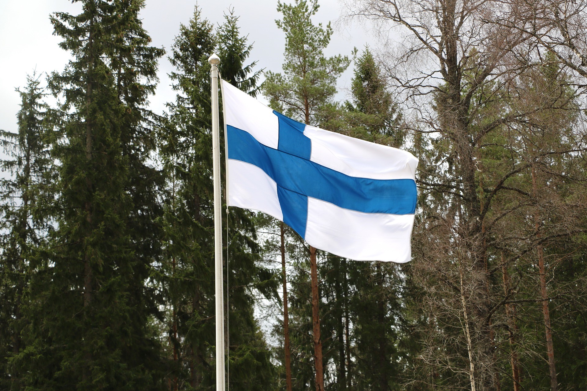 a flag on a pole