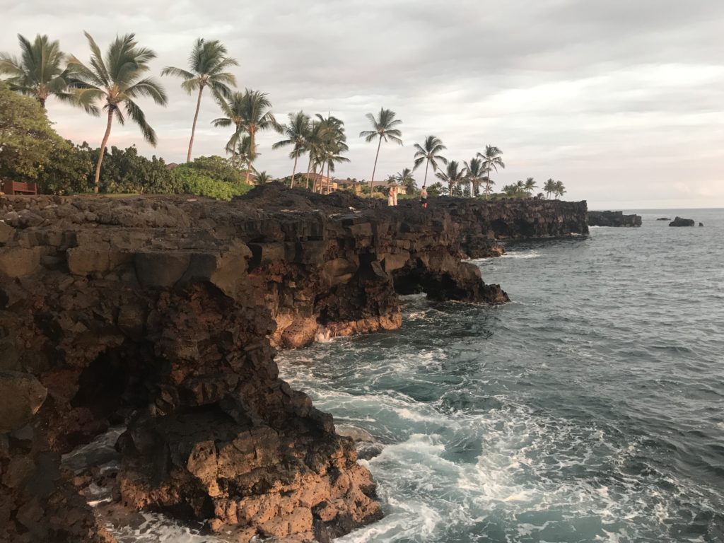 a rocky cliff with palm trees and water