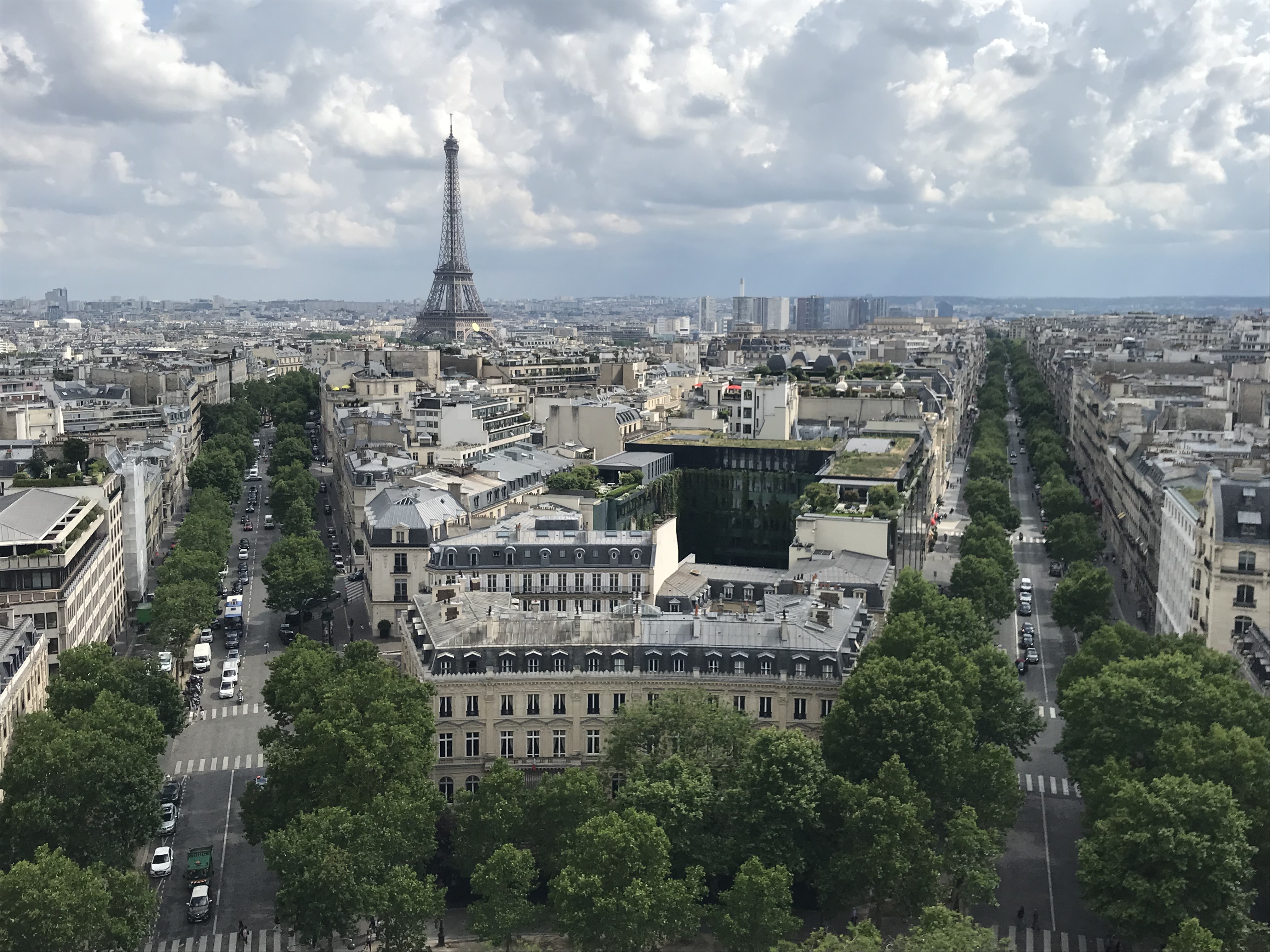 a city with trees and a tower in the background