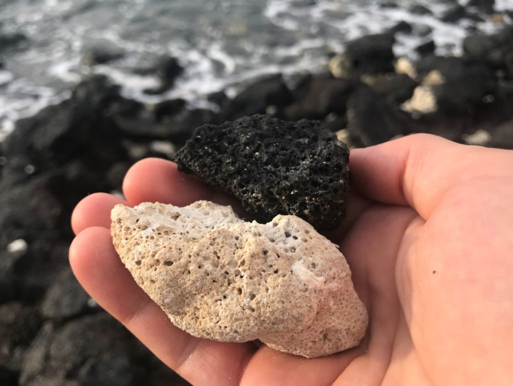 a hand holding a rock