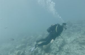 a person in a scuba suit underwater