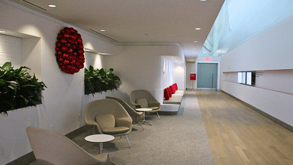 American Airlines Flagship Check-In Facilities at New York-JFK Airport