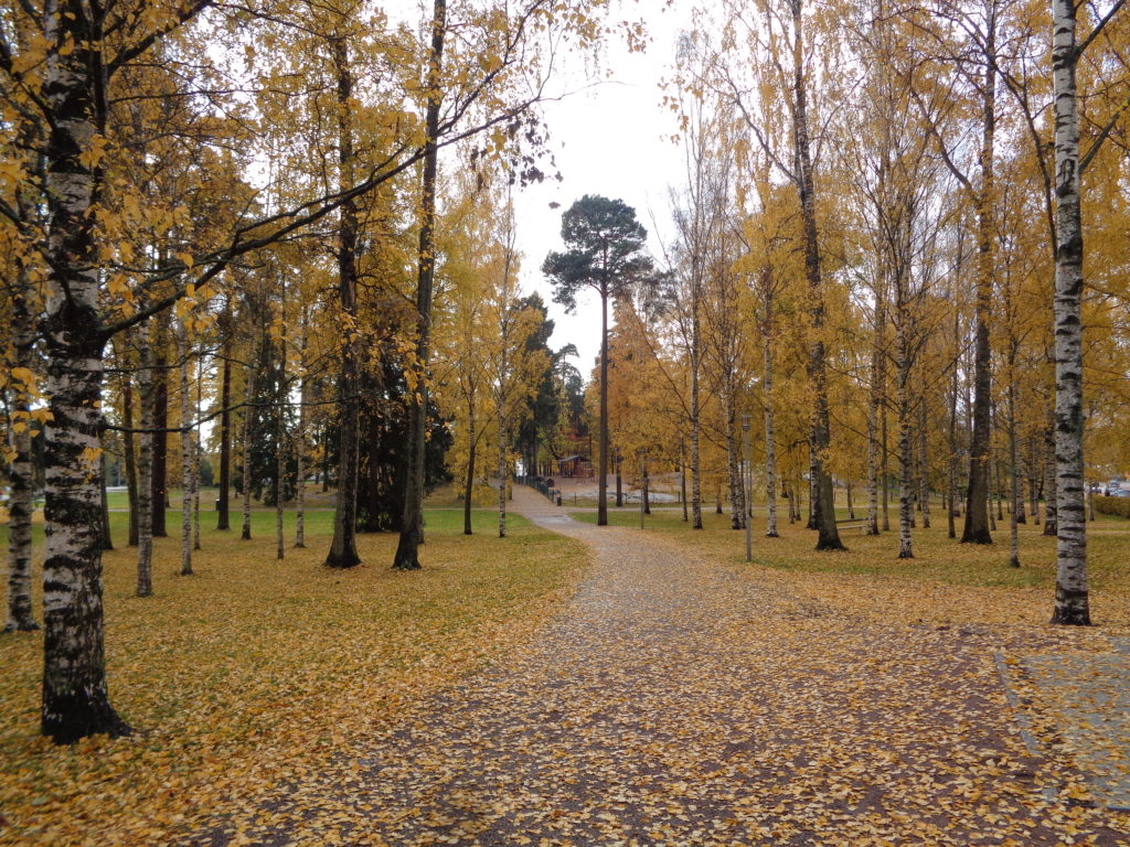 a path with yellow leaves on it