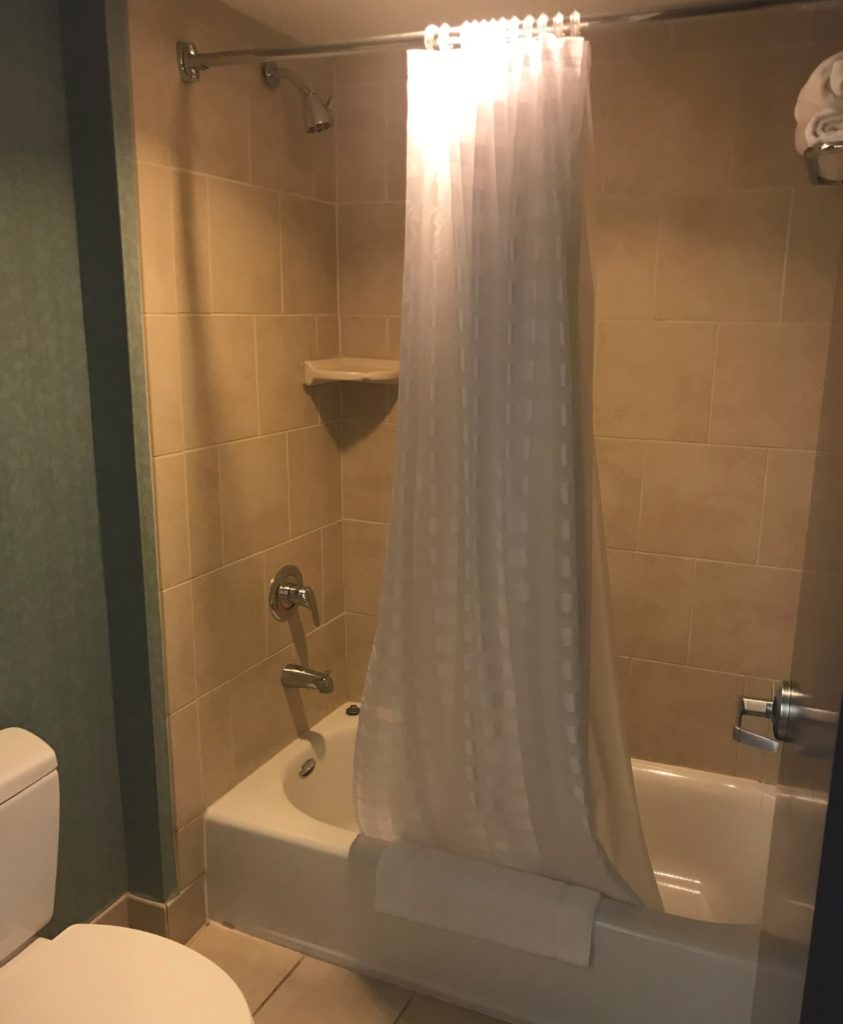 a shower curtain in a bathroom