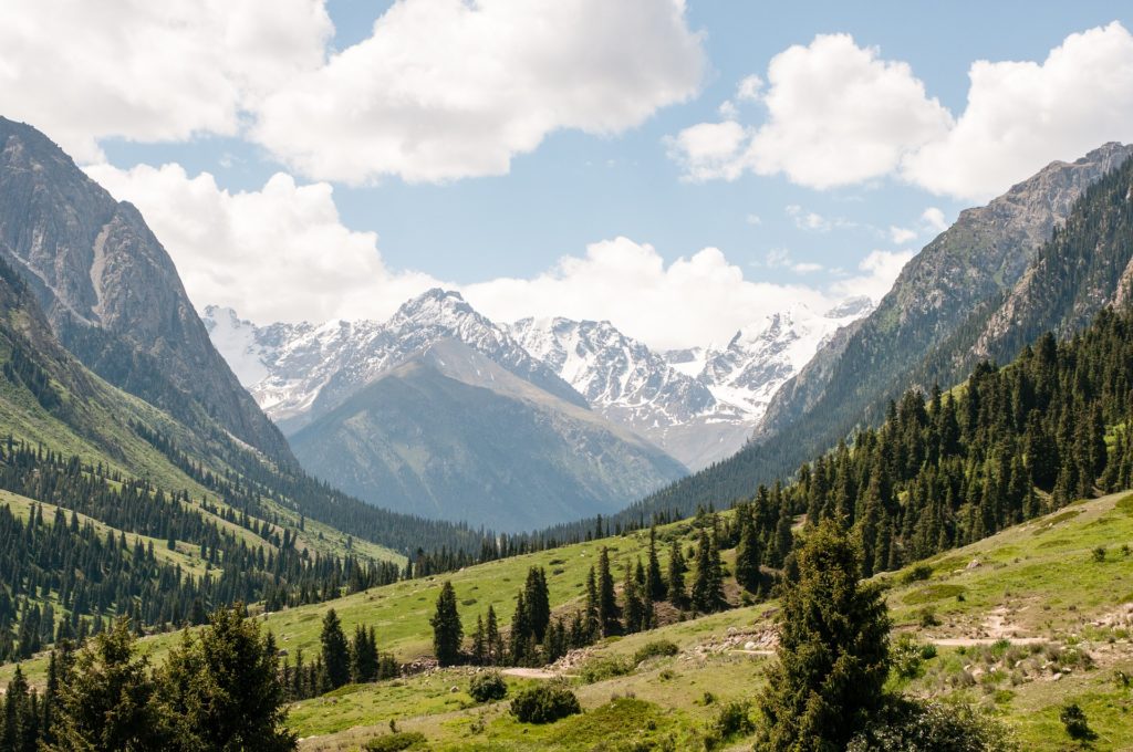 a mountain range with trees and snow covered mountains