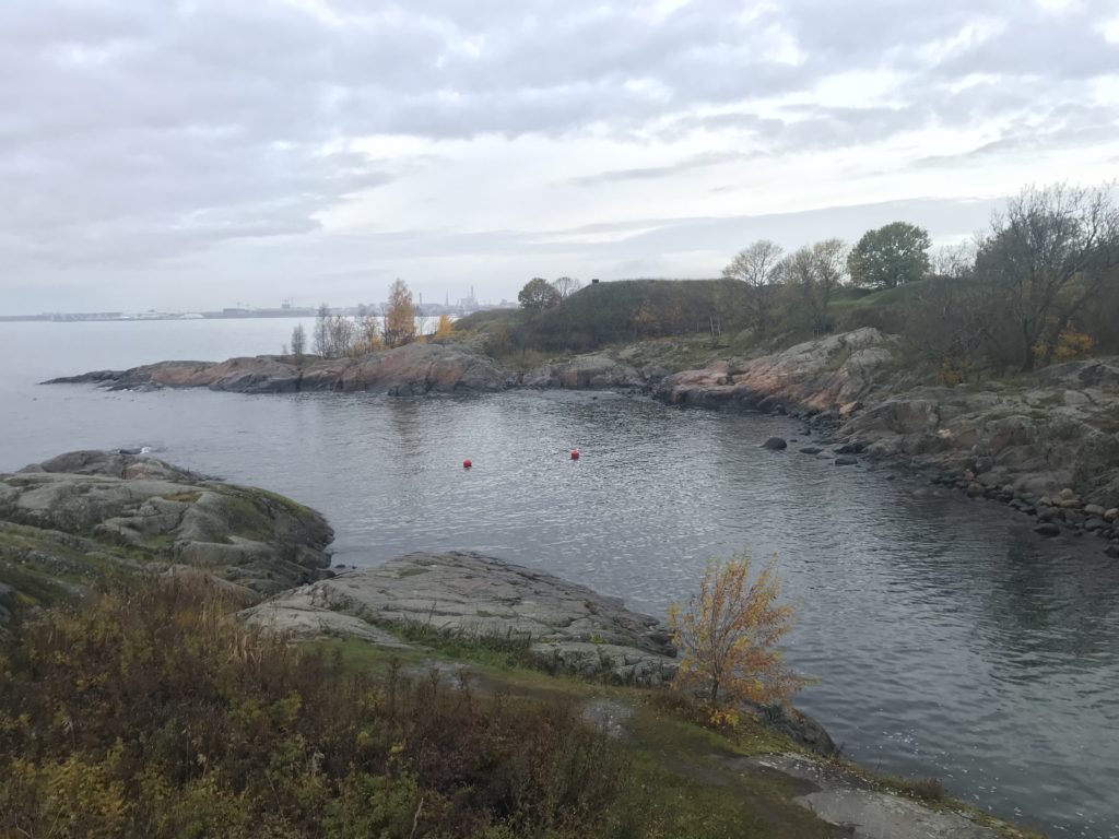 a body of water with rocks and trees