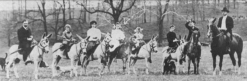 a group of people riding donkeys