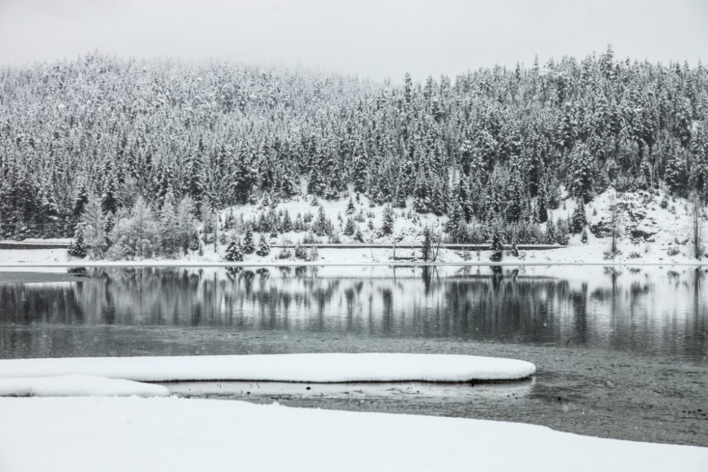 a lake with snow and trees in the background