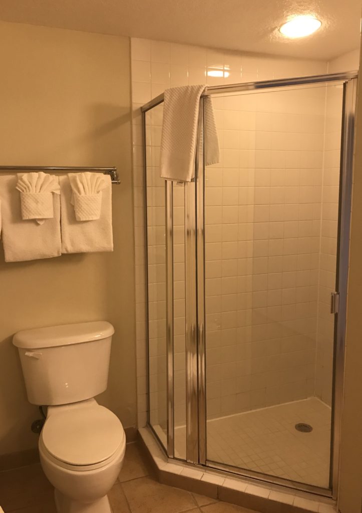 a bathroom with a shower and toilet