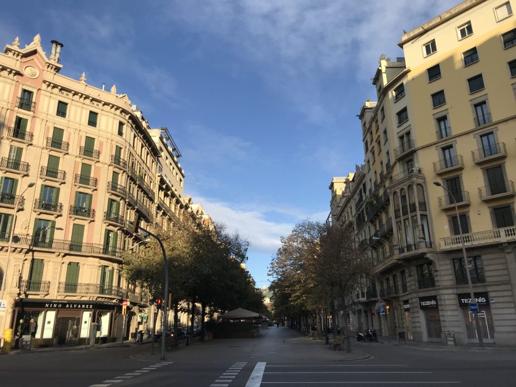 a street with buildings and trees