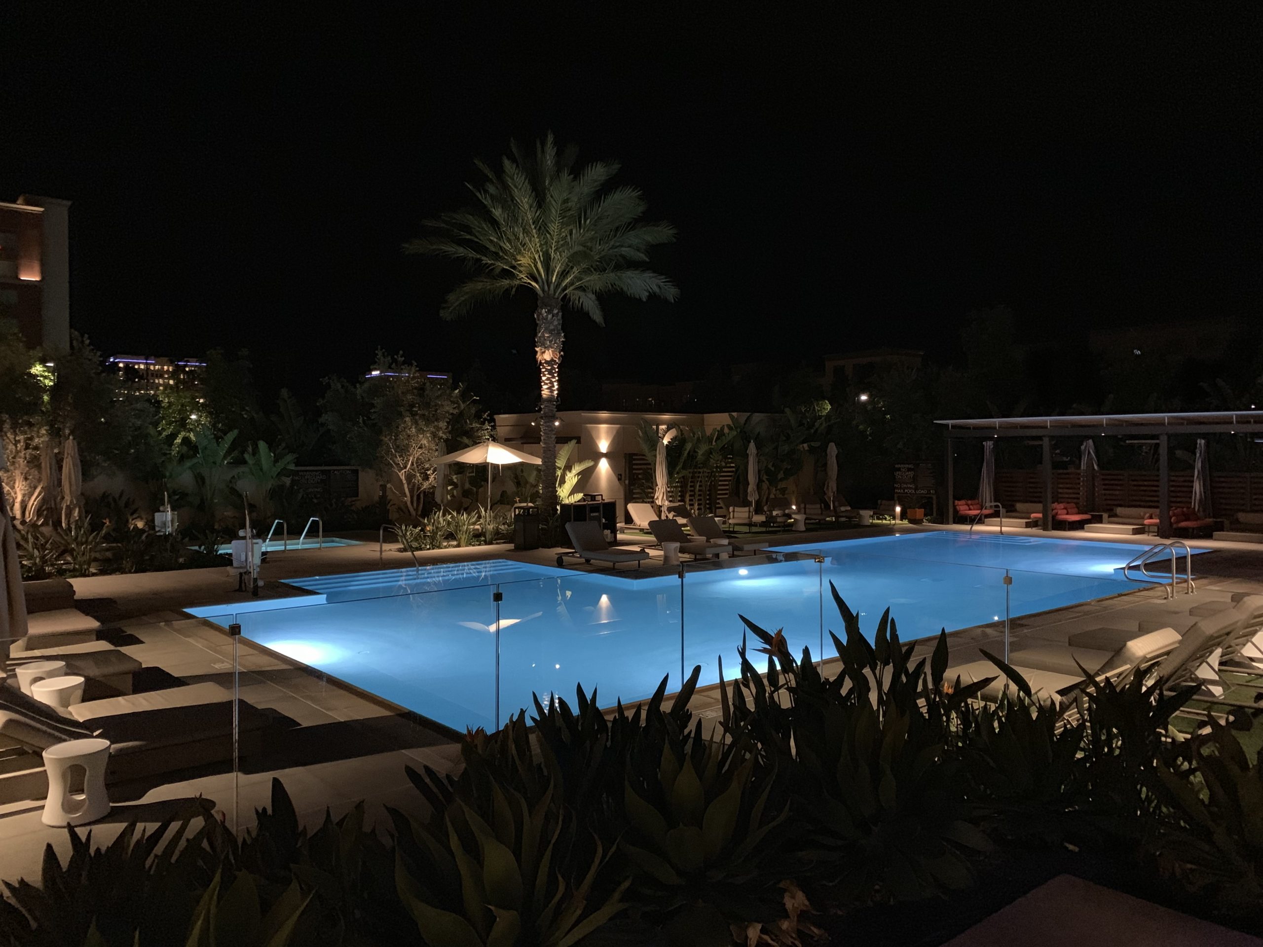 a pool with a palm tree at night