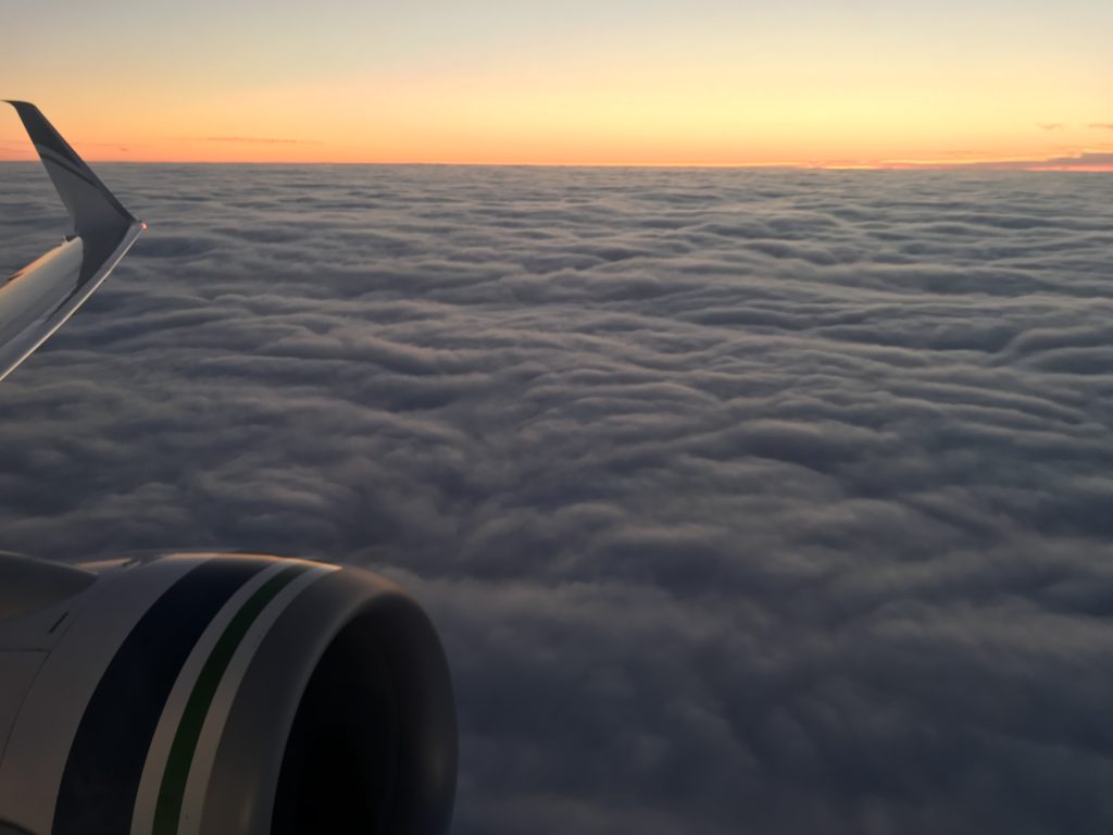 Alaska Airlines 737-900 Premium Class view