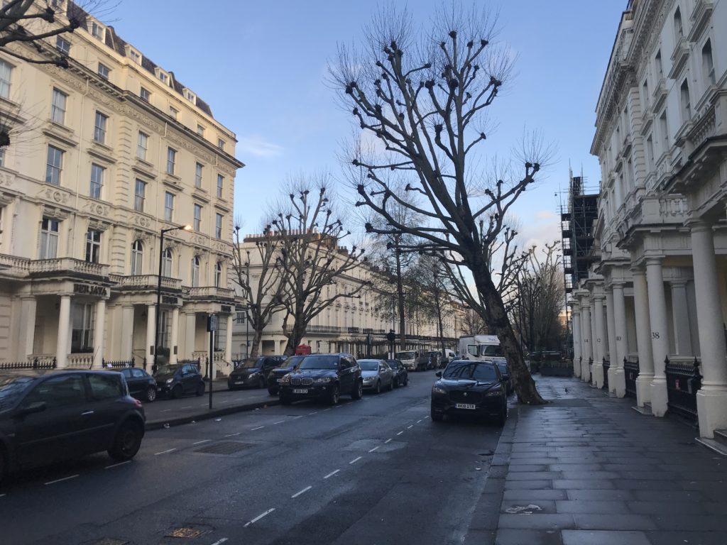 a street with cars and trees